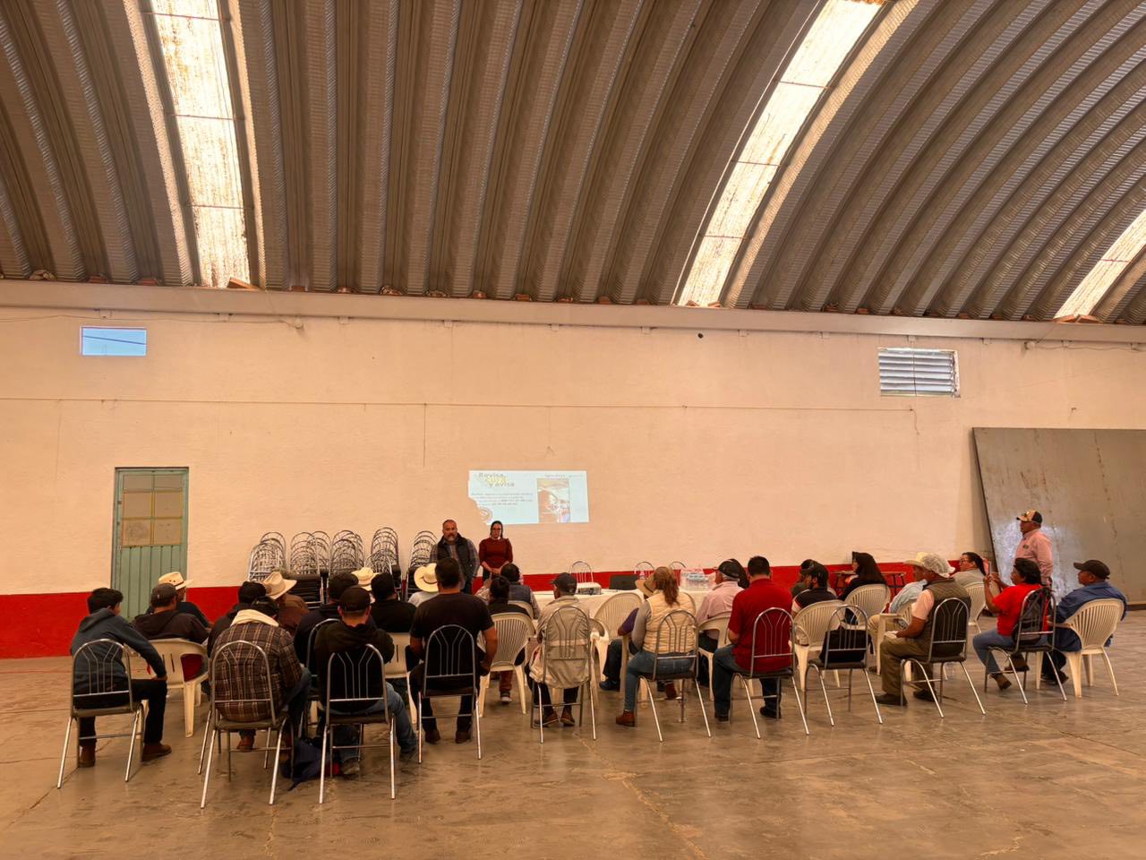 Refuerzan acciones preventivas ante gusano barrenador en comunidad de Lázaro Cárdenas
